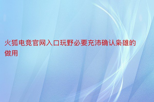 火狐电竞官网入口玩野必要充沛确认枭雄的做用