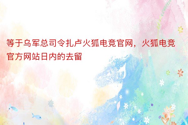 等于乌军总司令扎卢火狐电竞官网，火狐电竞官方网站日内的去留