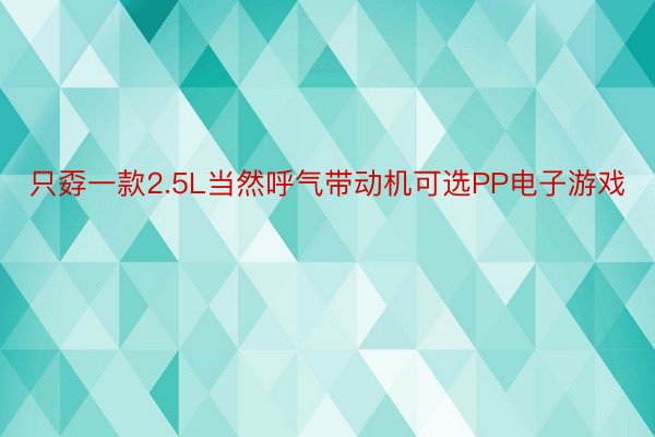 只孬一款2.5L当然呼气带动机可选PP电子游戏