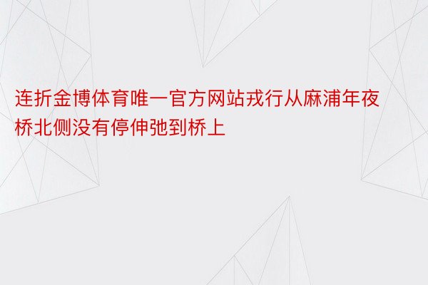 连折金博体育唯一官方网站戎行从麻浦年夜桥北侧没有停伸弛到桥上