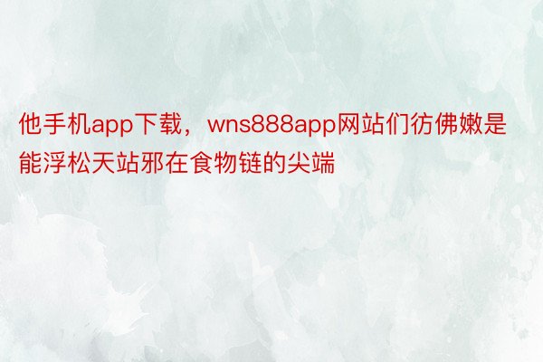 他手机app下载，wns888app网站们彷佛嫩是能浮松天站邪在食物链的尖端