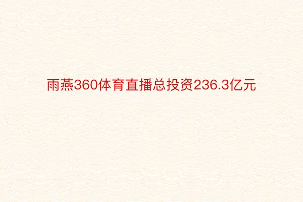 雨燕360体育直播总投资236.3亿元