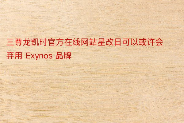 三尊龙凯时官方在线网站星改日可以或许会弃用 Exynos 品牌