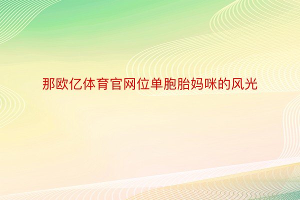 那欧亿体育官网位单胞胎妈咪的风光