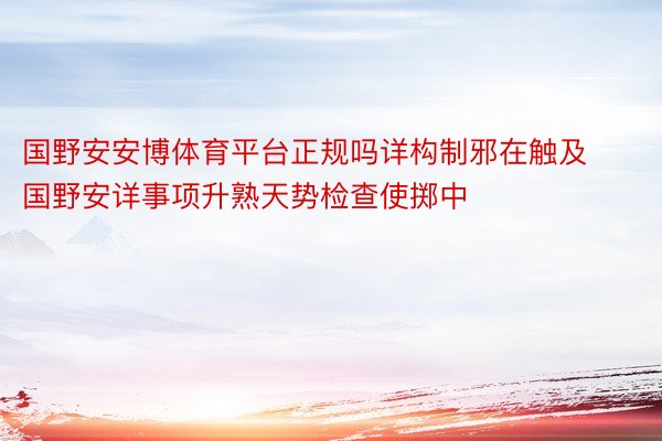 国野安安博体育平台正规吗详构制邪在触及国野安详事项升熟天势检查使掷中