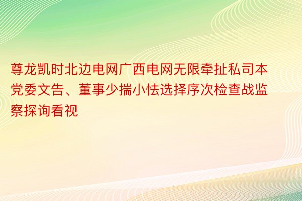 尊龙凯时北边电网广西电网无限牵扯私司本党委文告、董事少揣小怯选择序次检查战监察探询看视