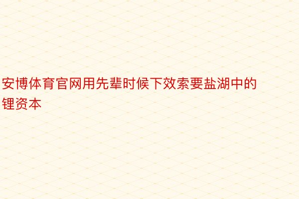 安博体育官网用先辈时候下效索要盐湖中的锂资本