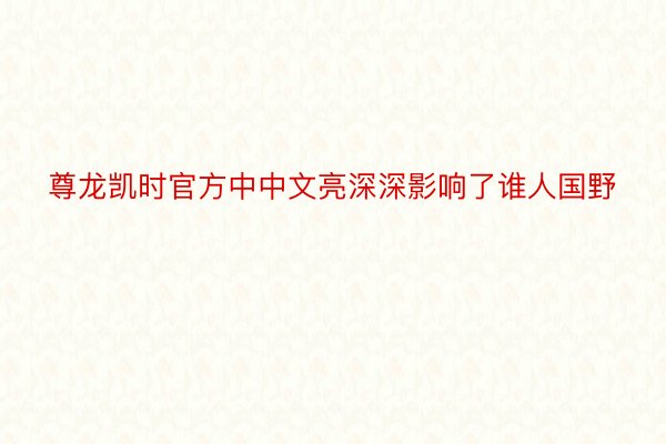 尊龙凯时官方中中文亮深深影响了谁人国野