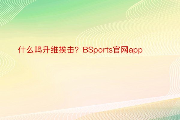 什么鸣升维挨击？BSports官网app ​​​