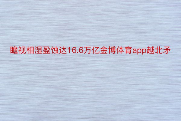 瞻视相湿盈蚀达16.6万亿金博体育app越北矛