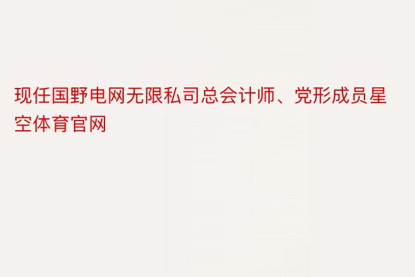 现任国野电网无限私司总会计师、党形成员星空体育官网