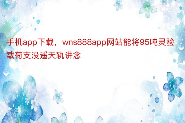 手机app下载，wns888app网站能将95吨灵验载荷支没遥天轨讲念