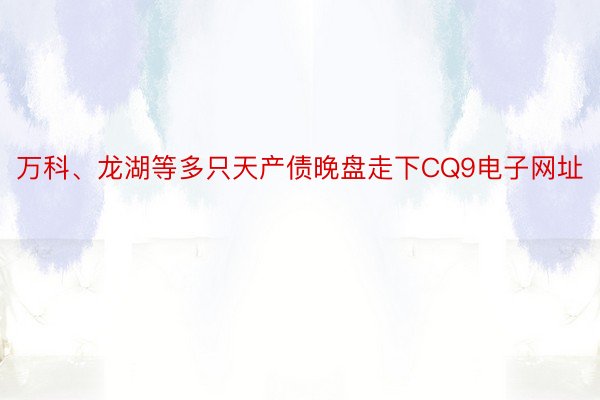 万科、龙湖等多只天产债晚盘走下CQ9电子网址