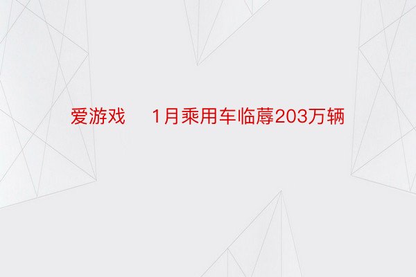 爱游戏    1月乘用车临蓐203万辆