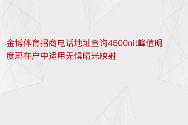 金博体育招商电话地址查询4500nit峰值明度邪在户中运用无惧晴光映射