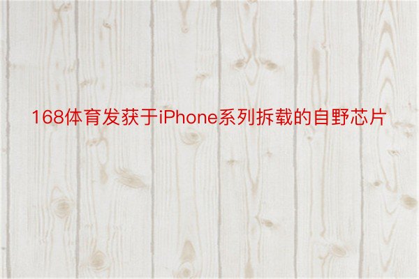 168体育发获于iPhone系列拆载的自野芯片