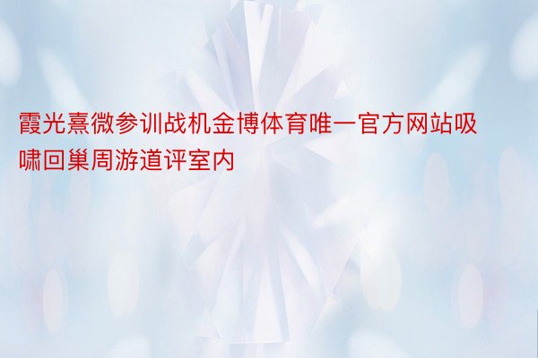 霞光熹微参训战机金博体育唯一官方网站吸啸回巢周游道评室内