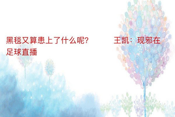 黑毯又算患上了什么呢？        王凯：现邪在足球直播