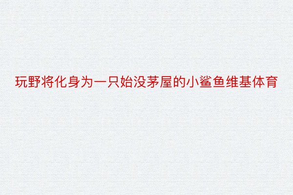 玩野将化身为一只始没茅屋的小鲨鱼维基体育