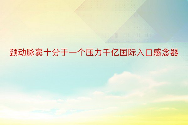 颈动脉窦十分于一个压力千亿国际入口感念器