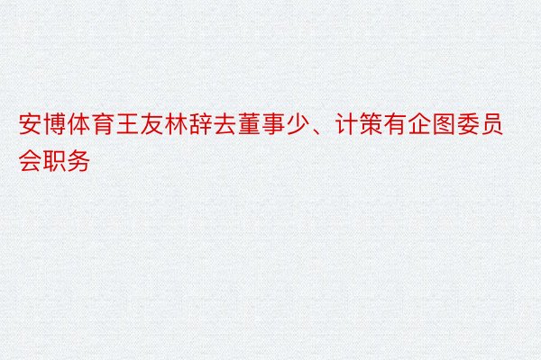 安博体育王友林辞去董事少、计策有企图委员会职务