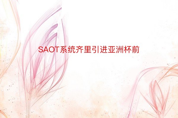 SAOT系统齐里引进亚洲杯前