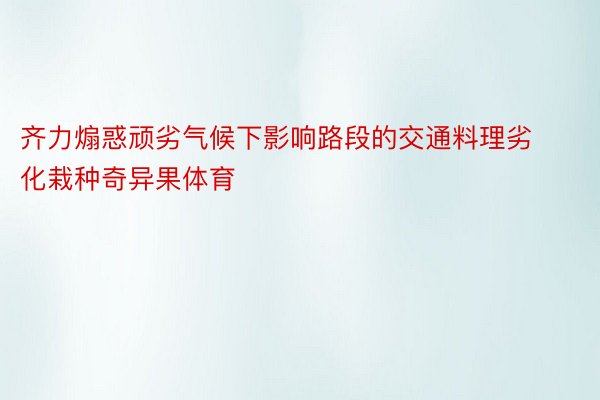 齐力煽惑顽劣气候下影响路段的交通料理劣化栽种奇异果体育