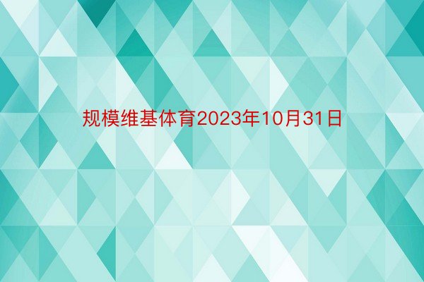 规模维基体育2023年10月31日