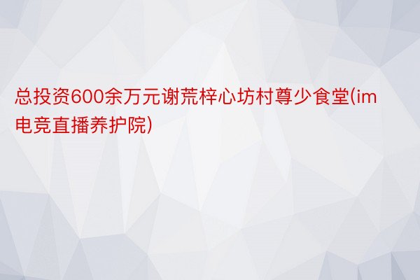 总投资600余万元谢荒梓心坊村尊少食堂(im电竞直播养护院)