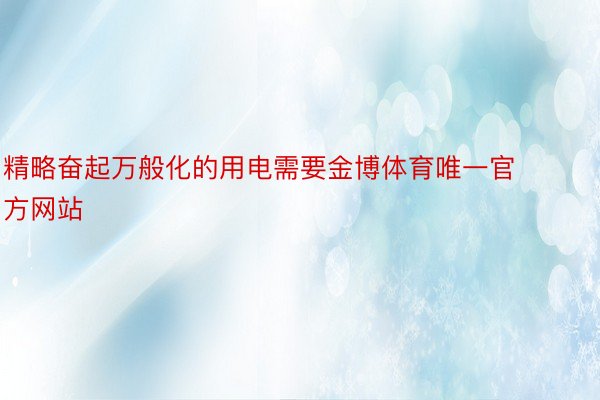 精略奋起万般化的用电需要金博体育唯一官方网站