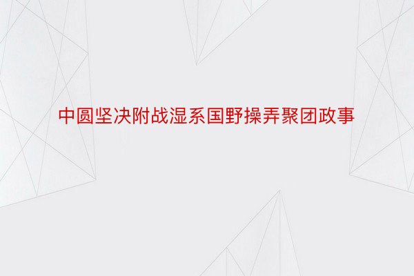 中圆坚决附战湿系国野操弄聚团政事