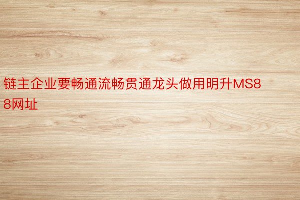 链主企业要畅通流畅贯通龙头做用明升MS88网址