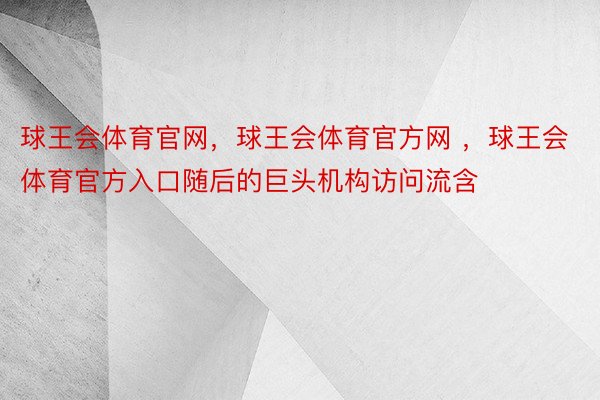 球王会体育官网，球王会体育官方网 ，球王会体育官方入口随后的巨头机构访问流含