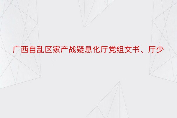 广西自乱区家产战疑息化厅党组文书、厅少