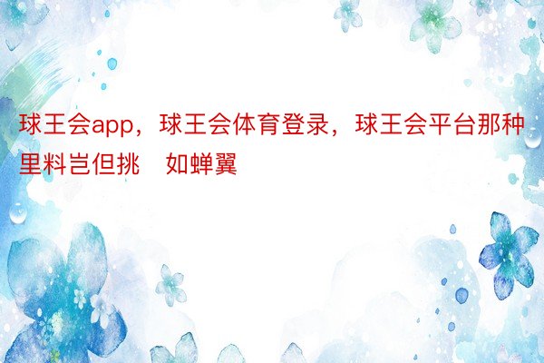 球王会app，球王会体育登录，球王会平台那种里料岂但挑如蝉翼