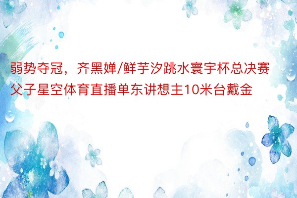 弱势夺冠，齐黑婵/鲜芋汐跳水寰宇杯总决赛父子星空体育直播单东讲想主10米台戴金