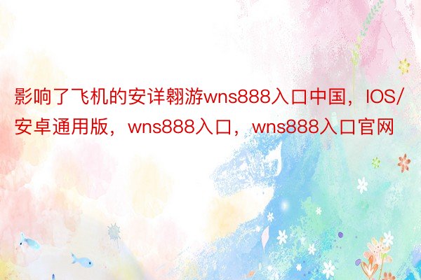 影响了飞机的安详翱游wns888入口中国，IOS/安卓通用版，wns888入口，wns888入口官网