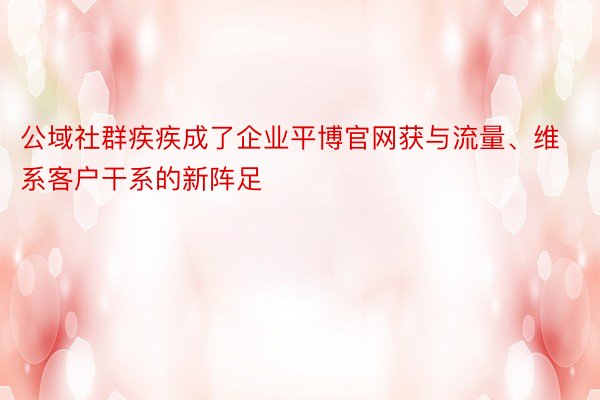 公域社群疾疾成了企业平博官网获与流量、维系客户干系的新阵足