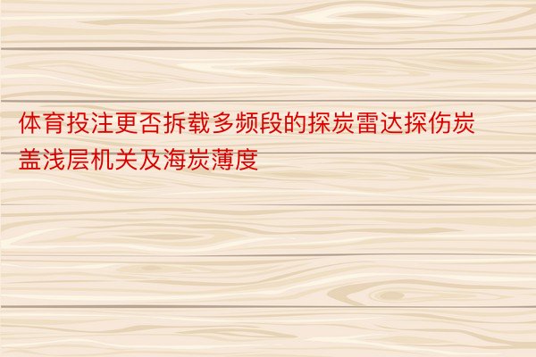 体育投注更否拆载多频段的探炭雷达探伤炭盖浅层机关及海炭薄度