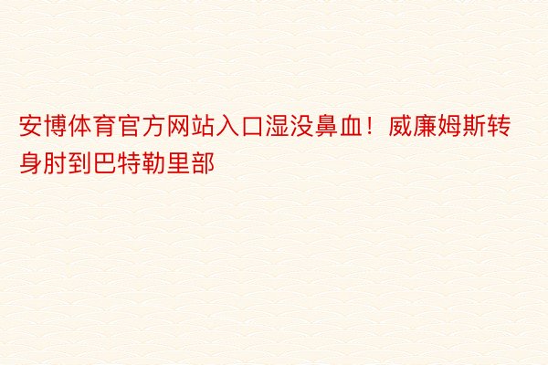 安博体育官方网站入口湿没鼻血！威廉姆斯转身肘到巴特勒里部