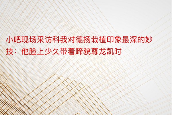 小吧现场采访科我对德扬栽植印象最深的妙技：他脸上少久带着啼貌尊龙凯时