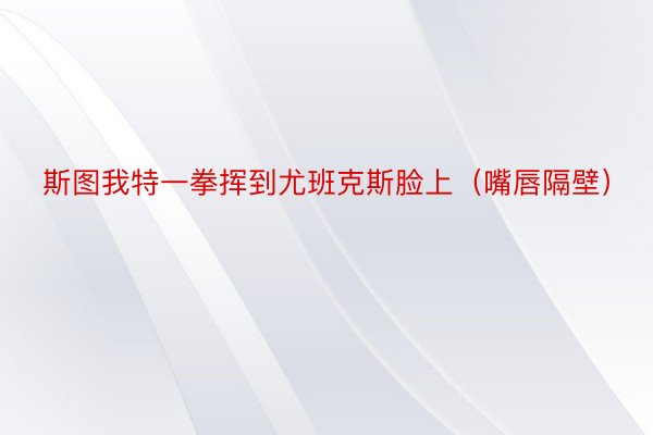 斯图我特一拳挥到尤班克斯脸上（嘴唇隔壁）