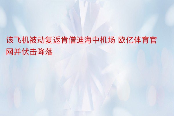 该飞机被动复返肯僧迪海中机场 欧亿体育官网并伏击降落