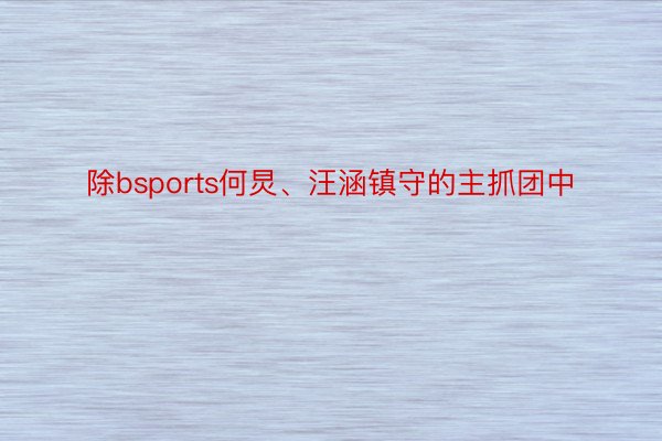 除bsports何炅、汪涵镇守的主抓团中