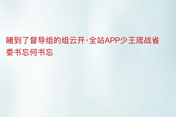 睹到了督导组的组云开·全站APP少王宬战省委书忘何书忘