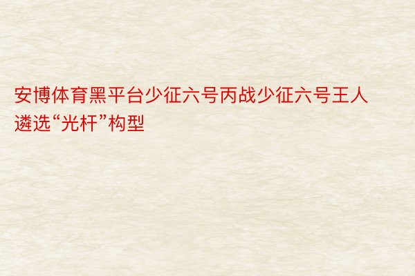 安博体育黑平台少征六号丙战少征六号王人遴选“光杆”构型