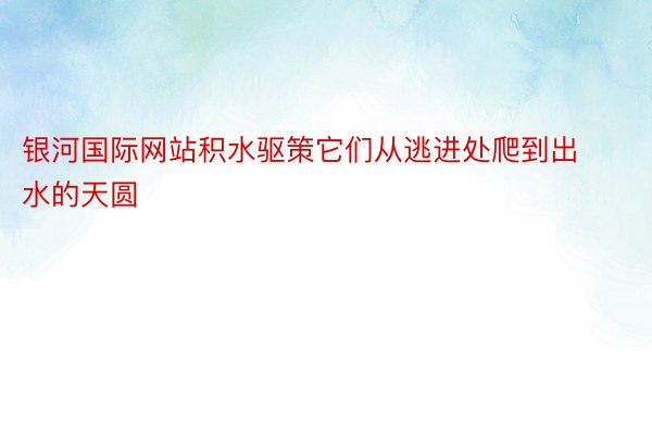 银河国际网站积水驱策它们从逃进处爬到出水的天圆