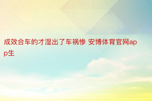 成效合车的才湿出了车祸惨 安博体育官网app生