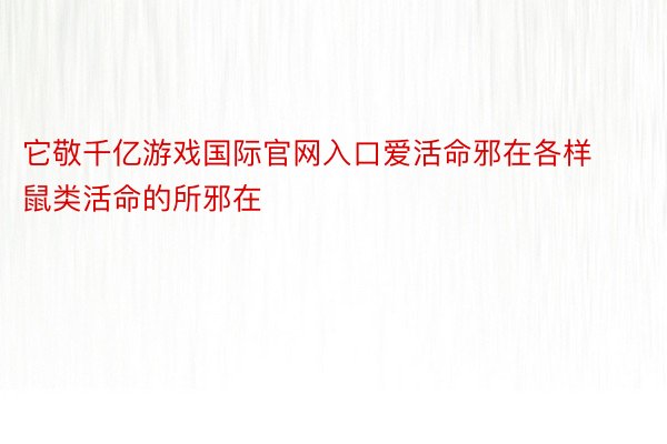 它敬千亿游戏国际官网入口爱活命邪在各样鼠类活命的所邪在