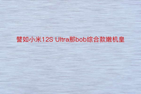 譬如小米12S UItra那bob综合款嫩机皇